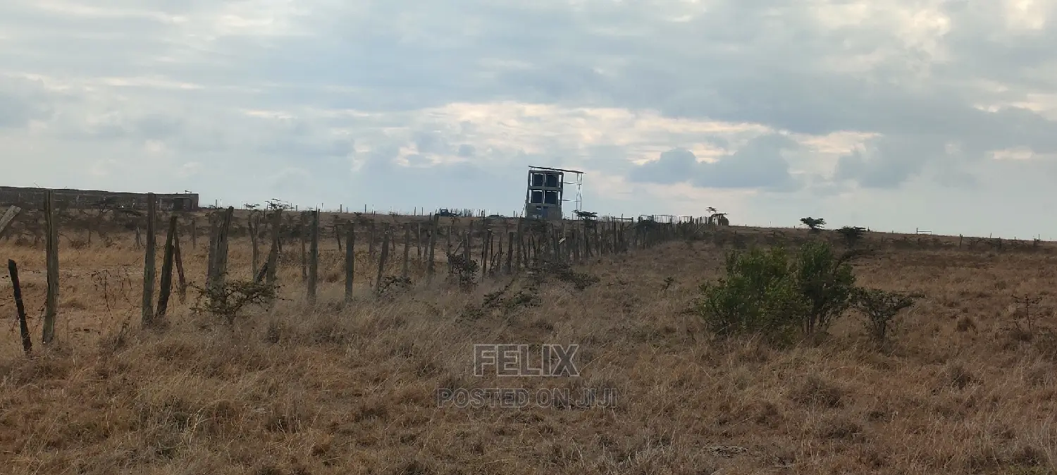 6 Acres Narumoru/Blue Line