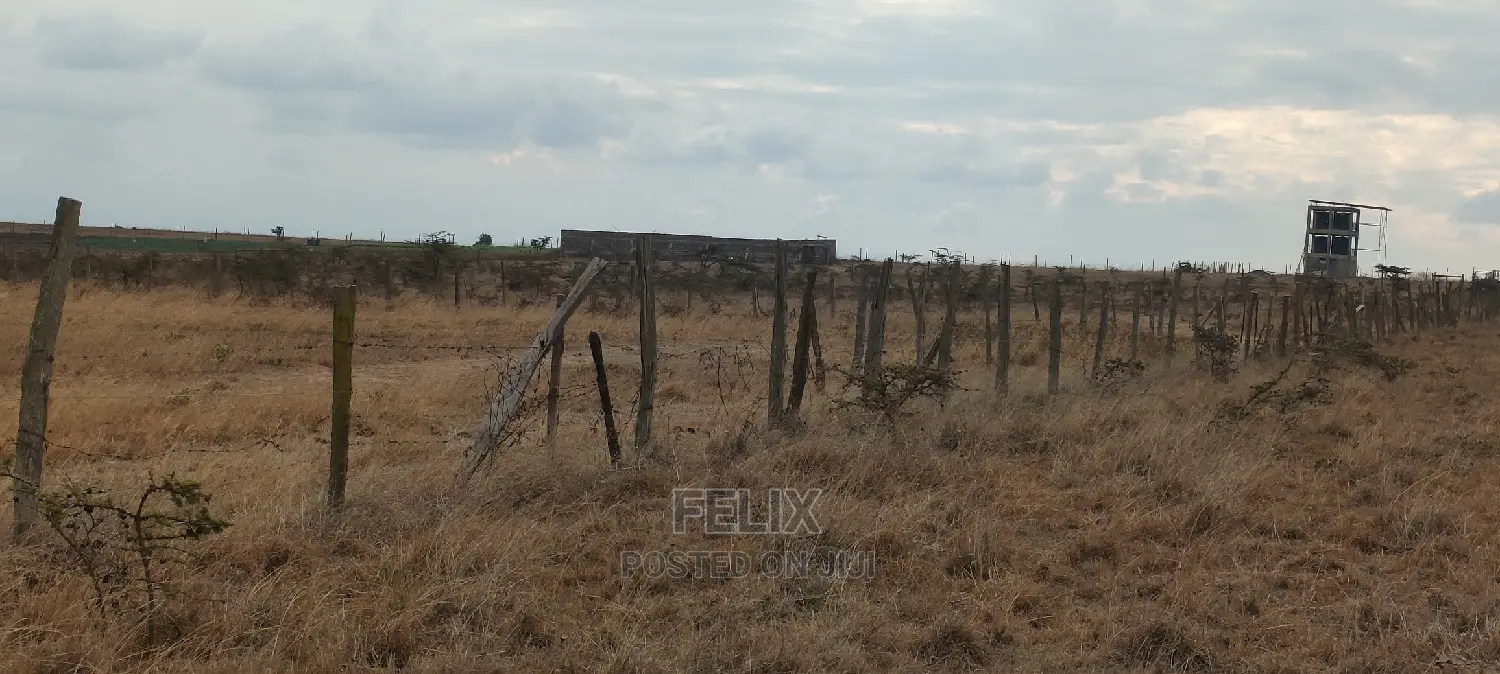 6 Acres Narumoru/Blue Line