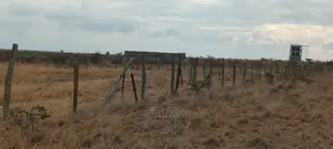 6 Acres Narumoru/Blue Line