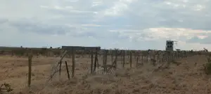 6 Acres Narumoru/Blue Line