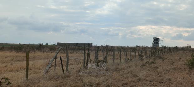 6 Acres Narumoru/Blue Line - thumbnail 4
