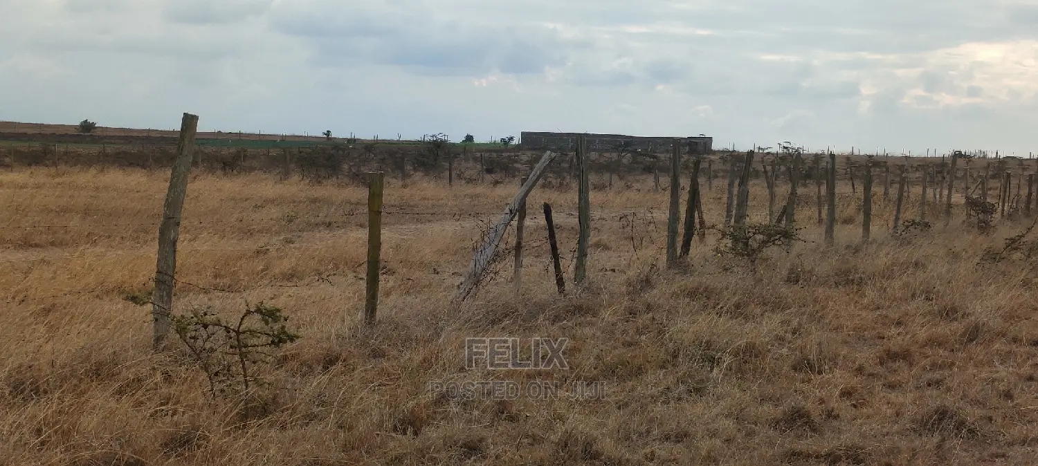 6 Acres Narumoru/Blue Line