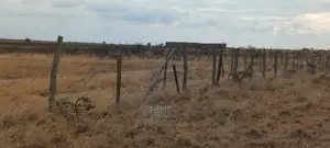 6 Acres Narumoru/Blue Line