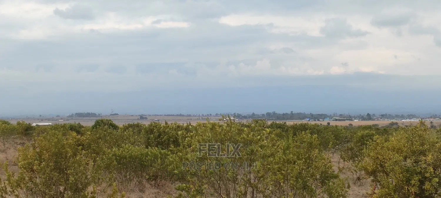 6 Acres Narumoru/Blue Line