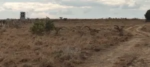 Chaka/Milimani 8 Acres