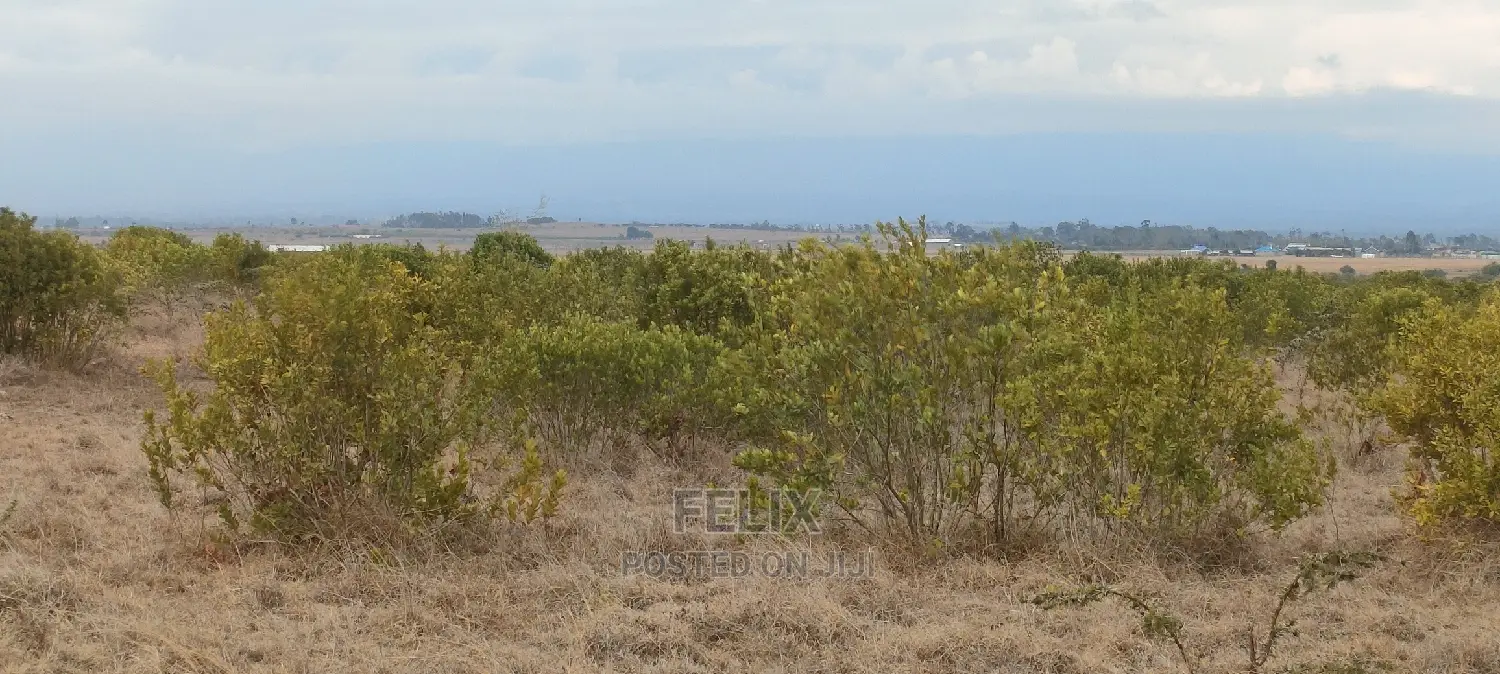 10 Acres Narumoru/Kihato