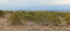 10 Acres Narumoru/Kihato