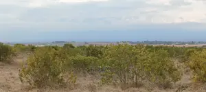 10 Acres Narumoru/Kihato