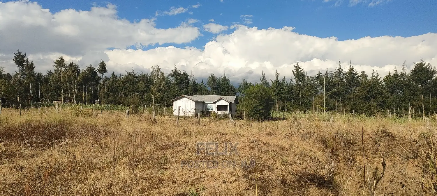 land for sale — image 1 of 20