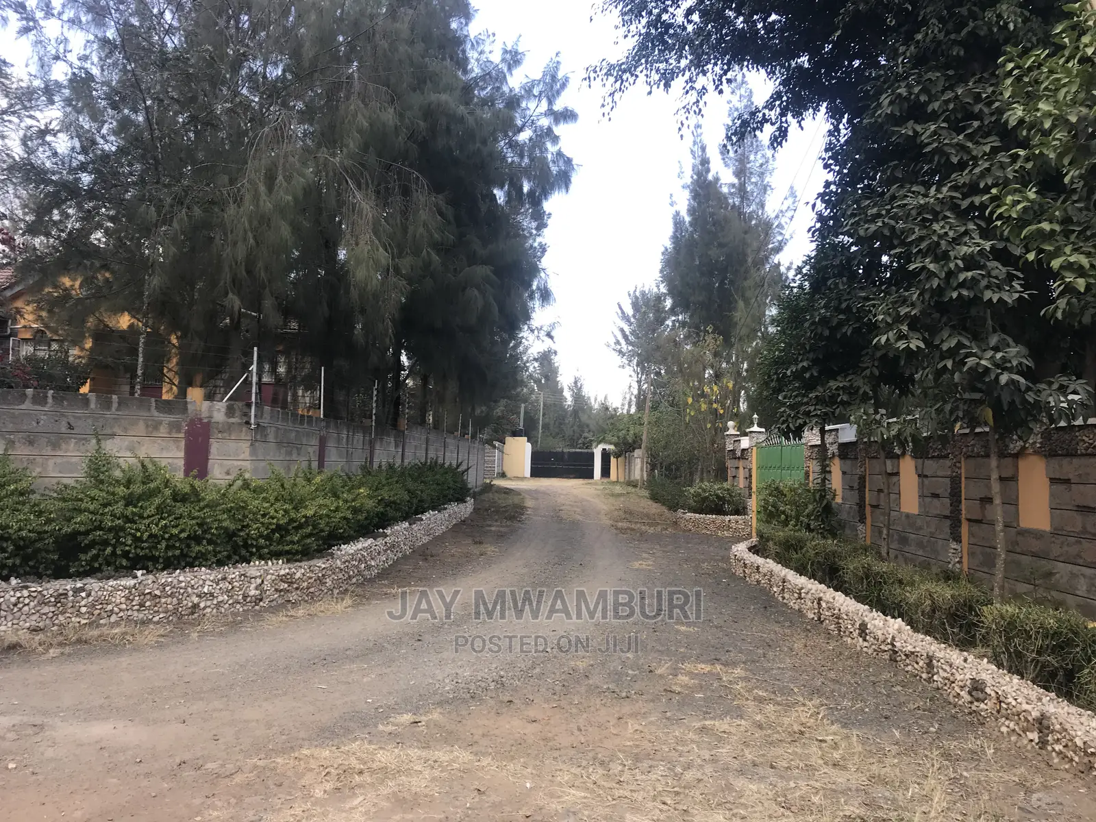 100 by 100 Plot Syokimau