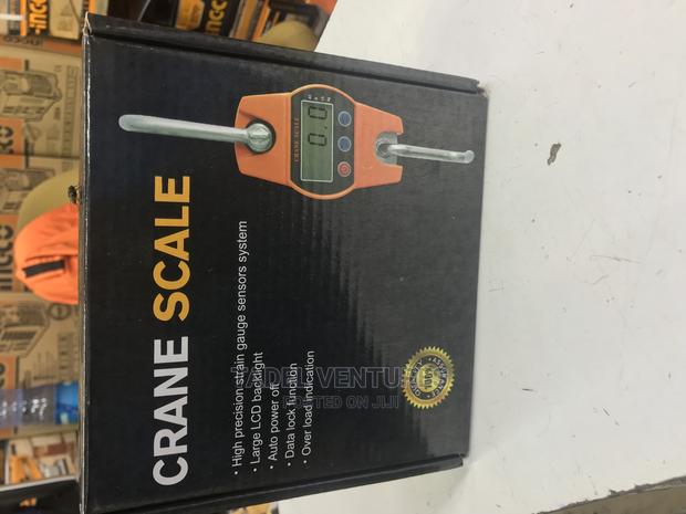 Crane Scale 300kg - main view