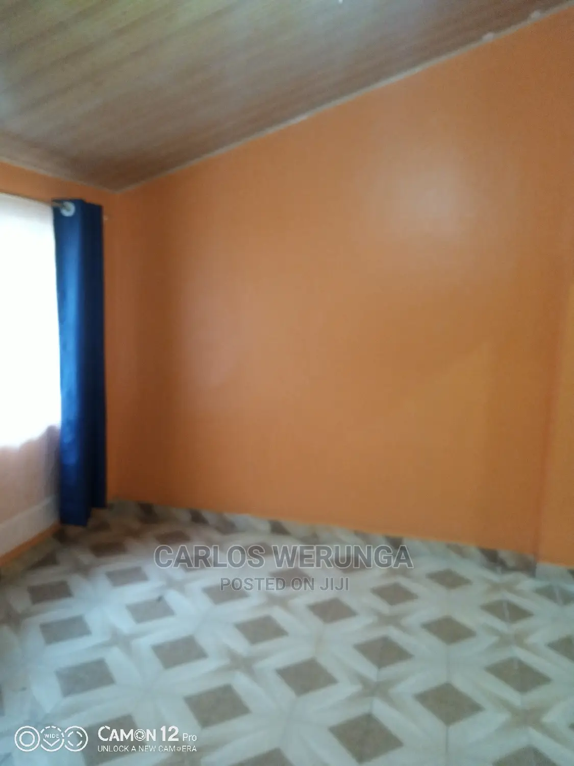 Painting Service