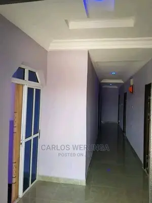 Professional Painter