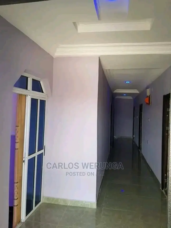 Professional Painter