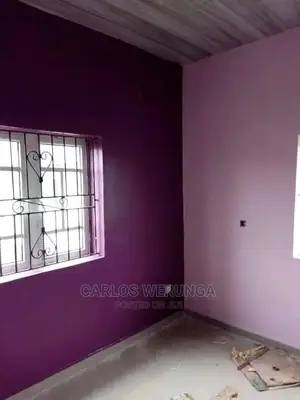 Professional Painter
