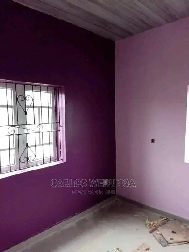 Professional Painter