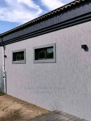 Professional Painter