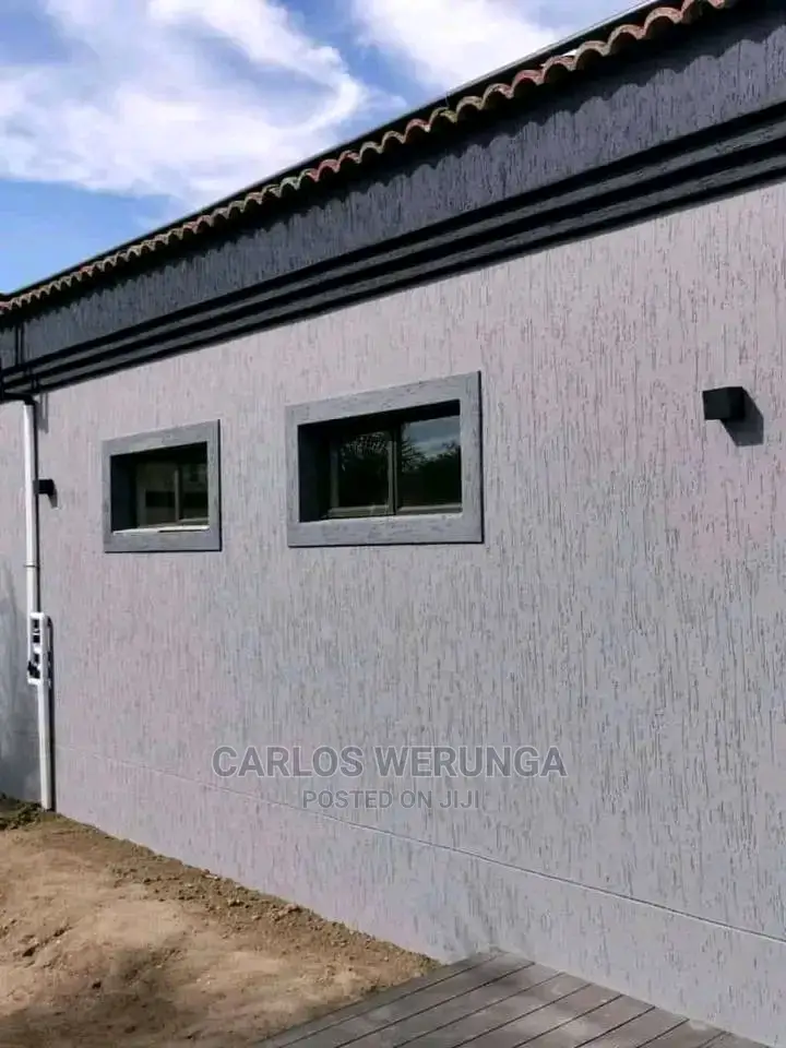 Professional Painter