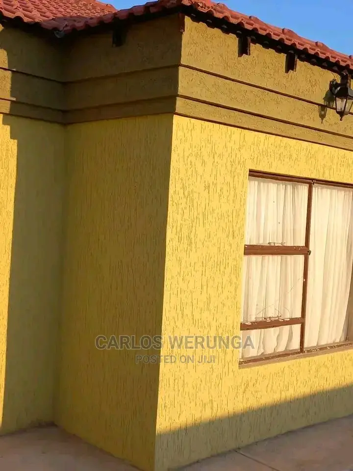 Professional Painter
