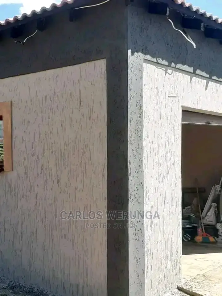 Professional Painter