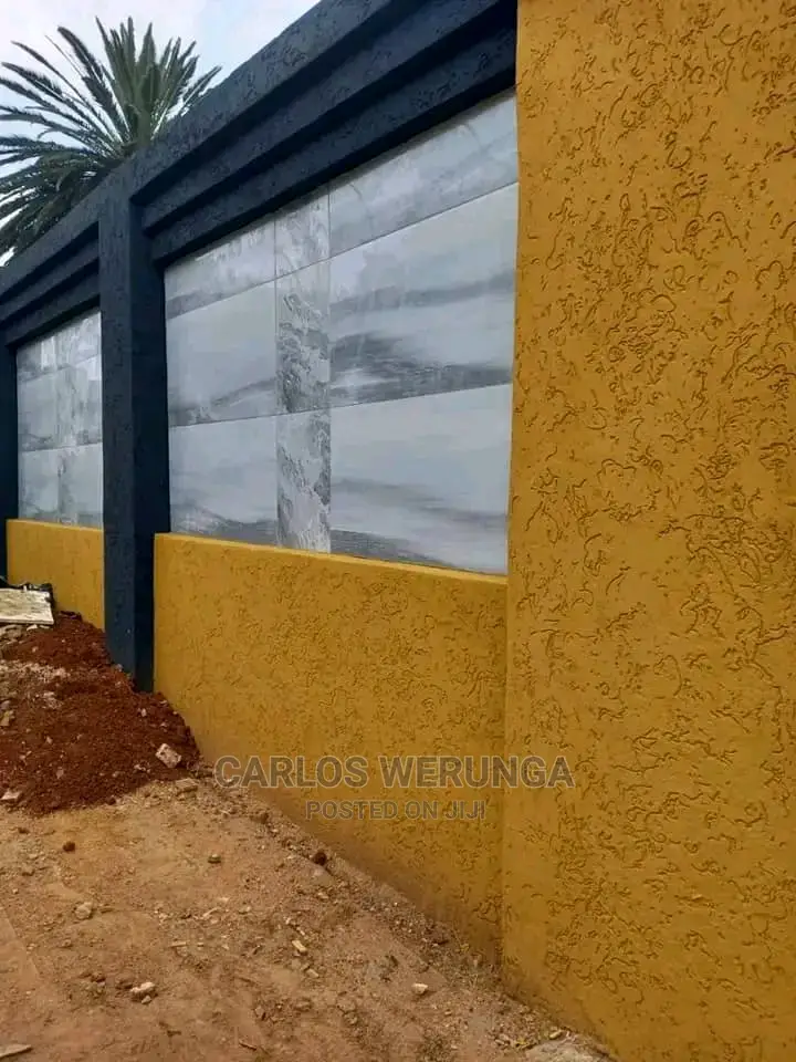 Professional Painter