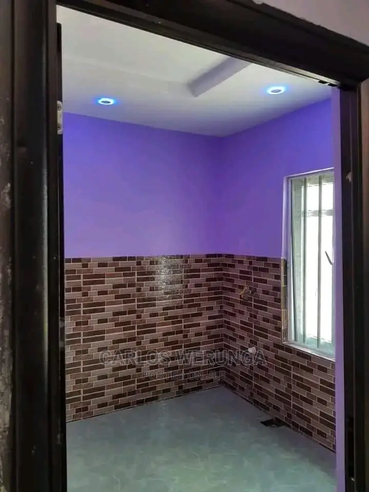 Professional Painter
