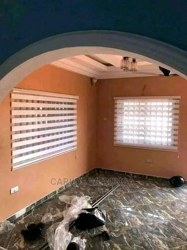Professional Painter