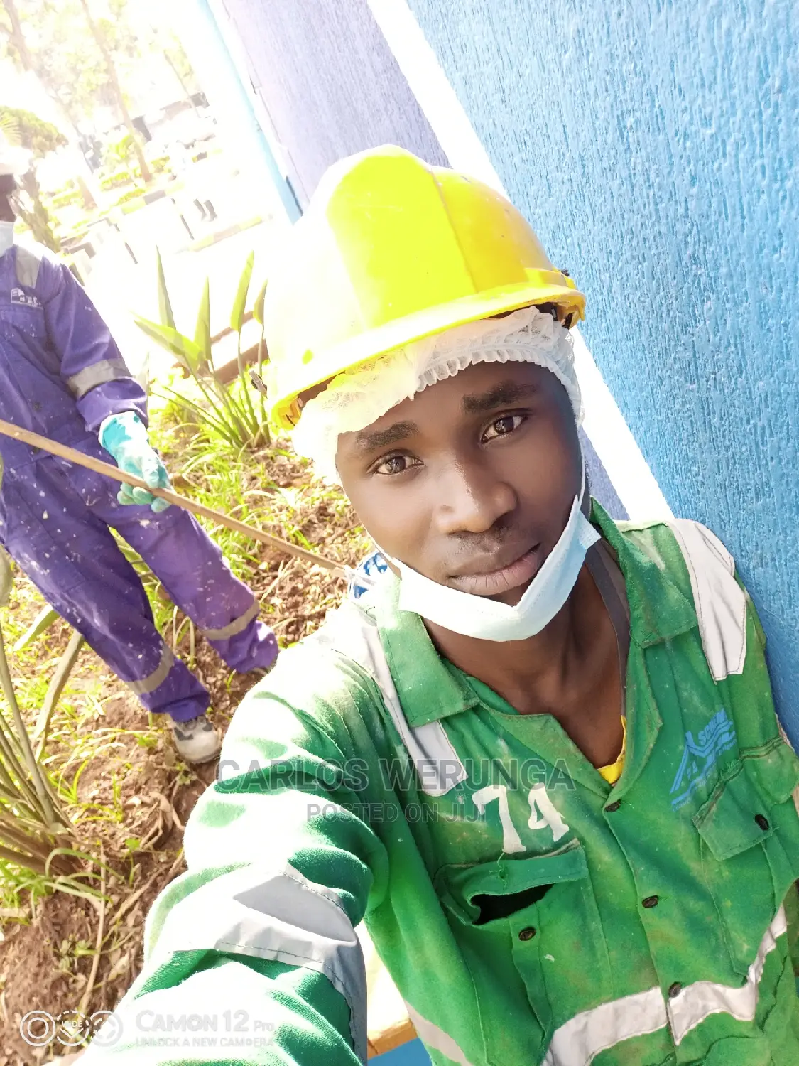 Professional Painter