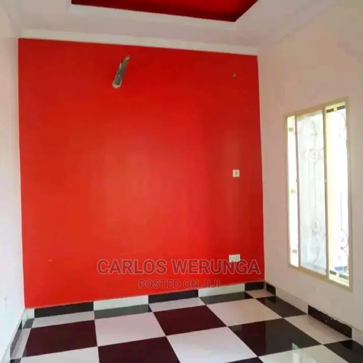 Professional Painter