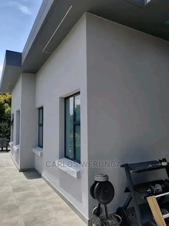 Professional Painter