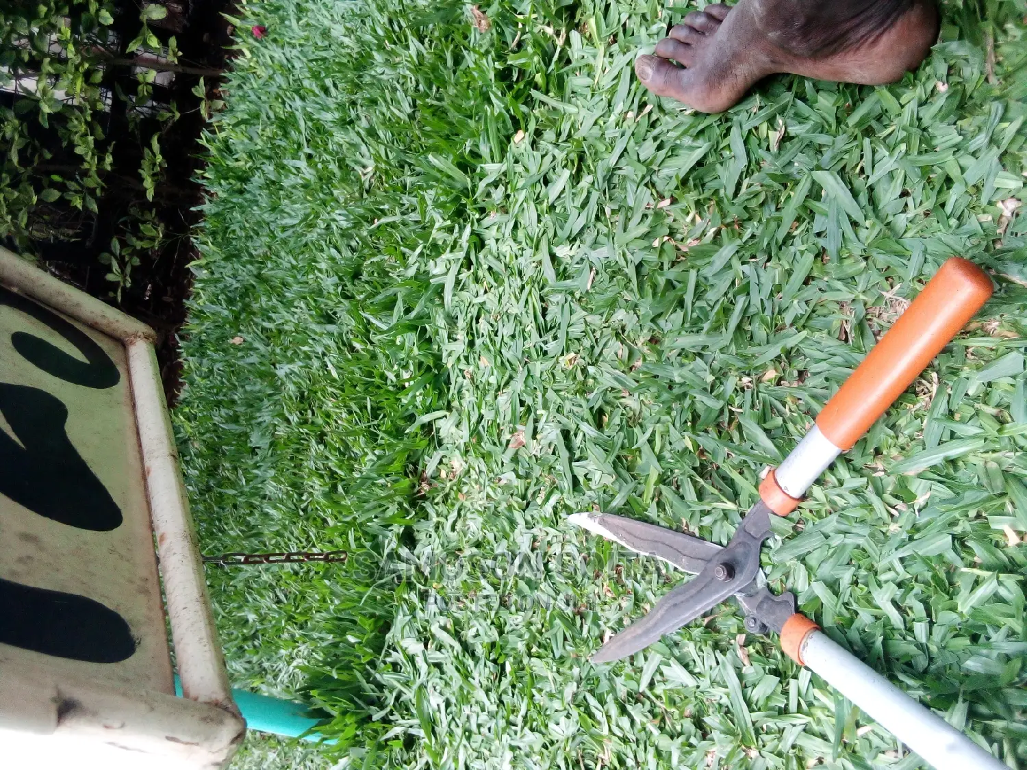 Landscaping and Gardening