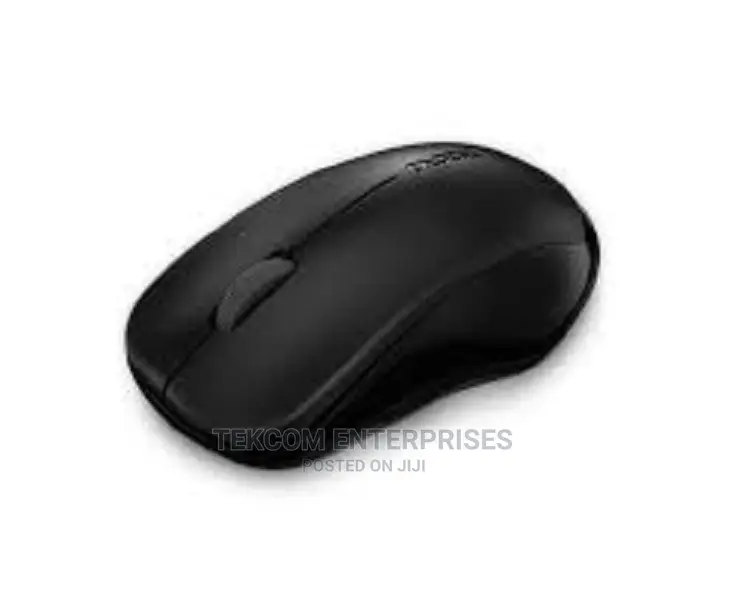 RAPOO 1620 Wireless Mouse