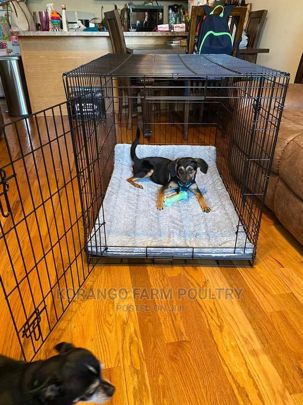 Xl Pet Cages - main view