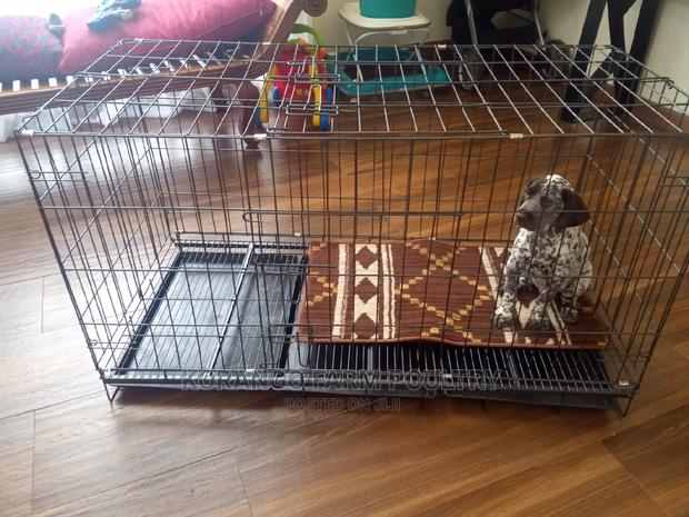 German Spitz Dog Crates - thumbnail 3