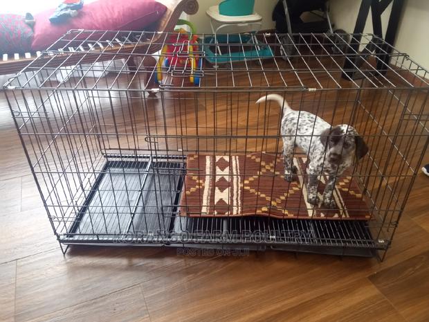 German Spitz Dog Crates - thumbnail 2