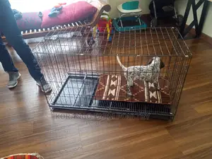 German Spitz Dog Crates