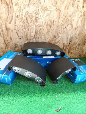 LED Wall Light