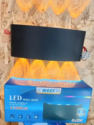 LED Wall Light