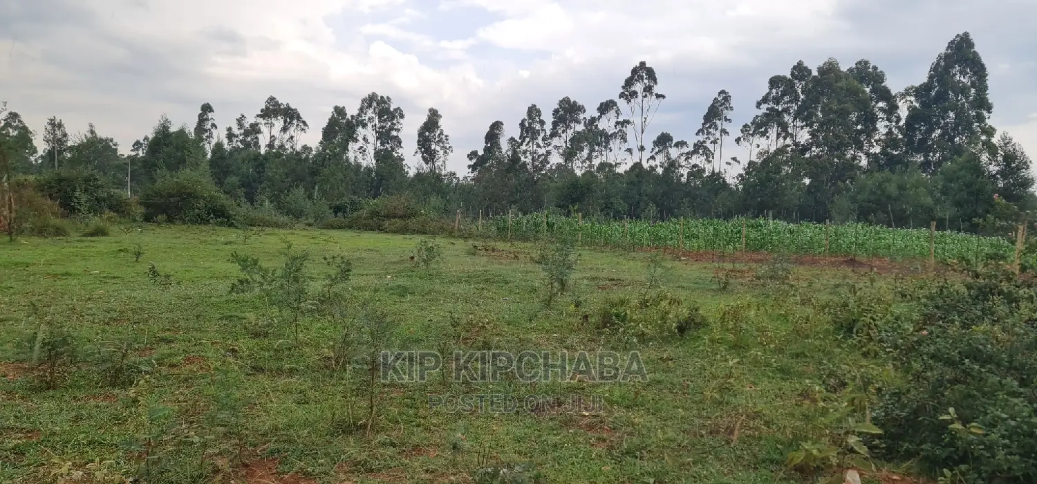 Plots for Sale in Rivertex Segero Before Kipkenyo Eldoret