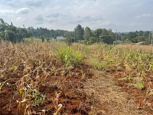 Residential Plot in Kikuyu, Kamangu Karai (Migumoini Area)