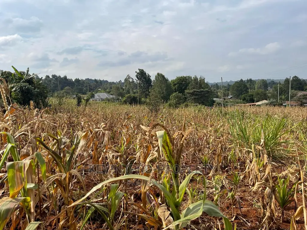 Residential Plot in Kikuyu, Kamangu Karai (Migumoini Area)