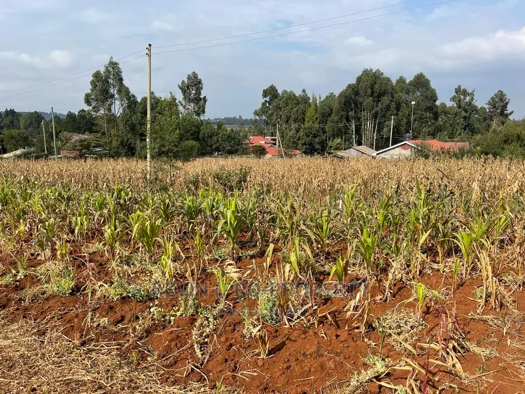 Residential Plot in Kikuyu, Kamangu Karai (Migumoini Area)