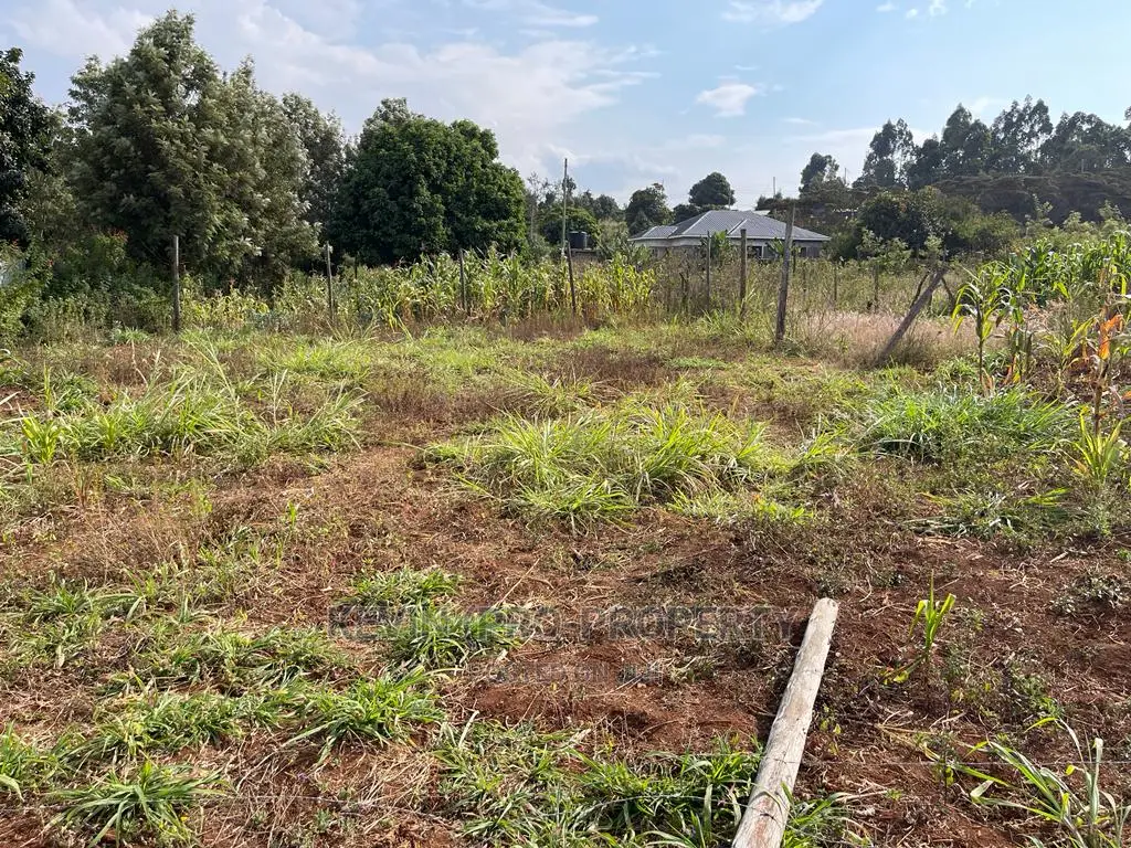 Residential Plot in Kikuyu, Kamangu Karai (Migumoini Area)