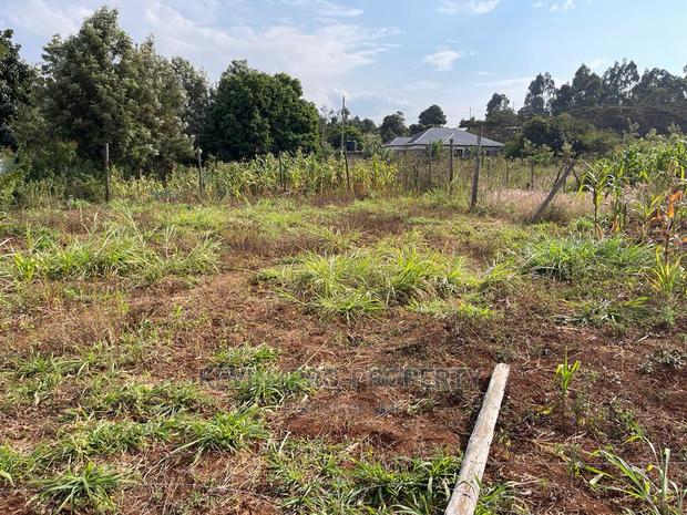 Residential Plot in Kikuyu, Kamangu Karai (Migumoini Area) - thumbnail 8