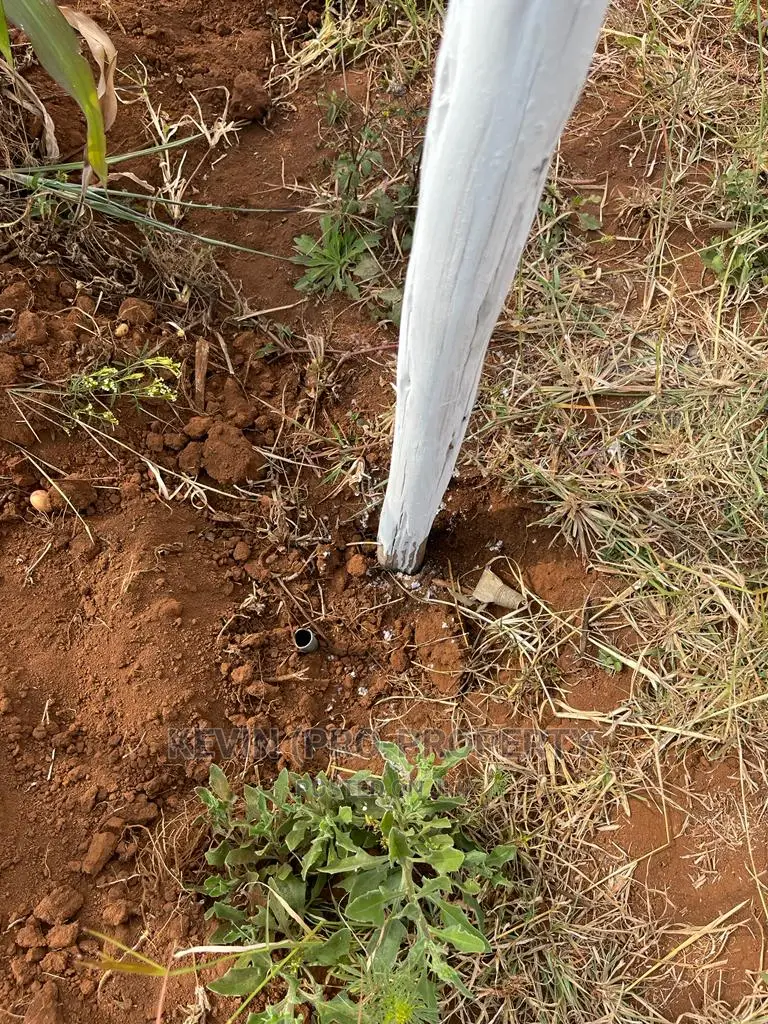 Residential Plot in Kikuyu, Kamangu Karai (Migumoini Area)