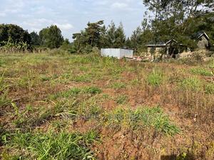 Residential Plot in Kikuyu, Kamangu Karai (Migumoini Area) - thumbnail 2