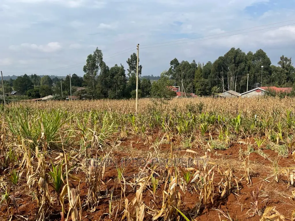 Residential Plot in Kikuyu, Kamangu Karai (Migumoini Area)