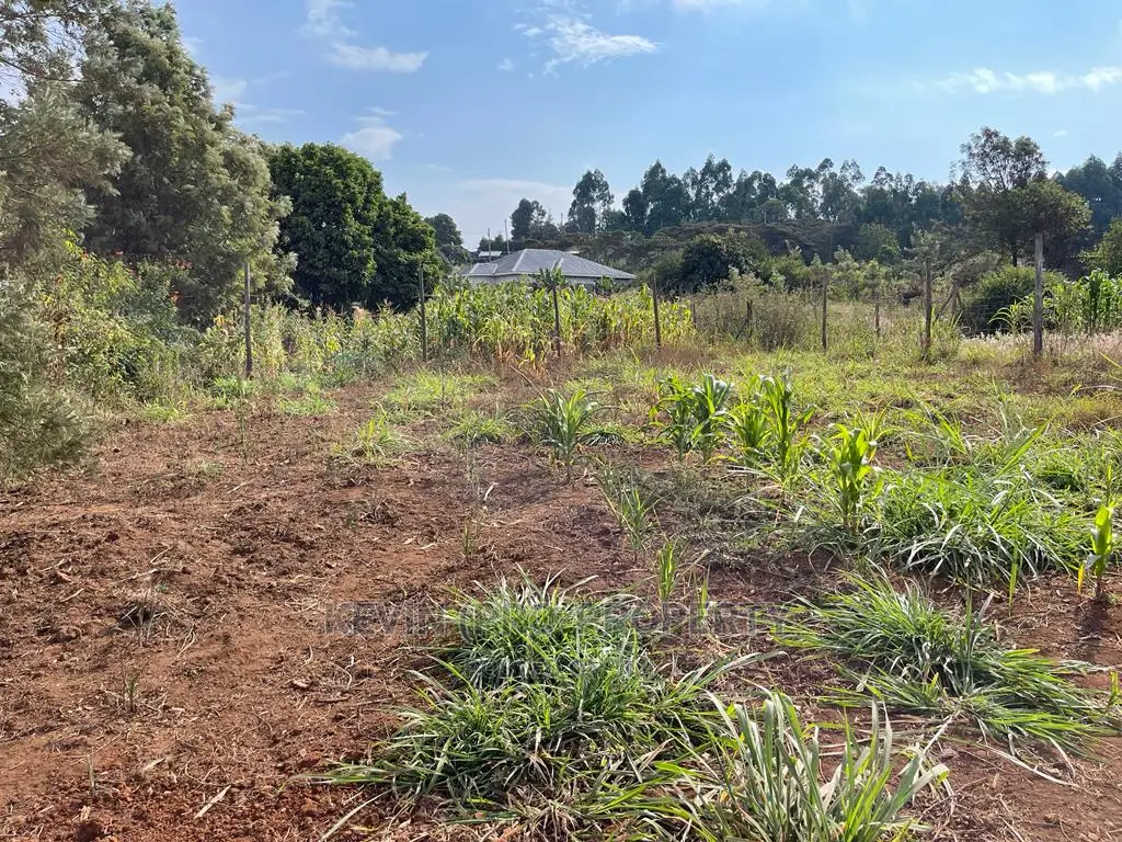 Residential Plot in Kikuyu, Kamangu Karai (Migumoini Area)