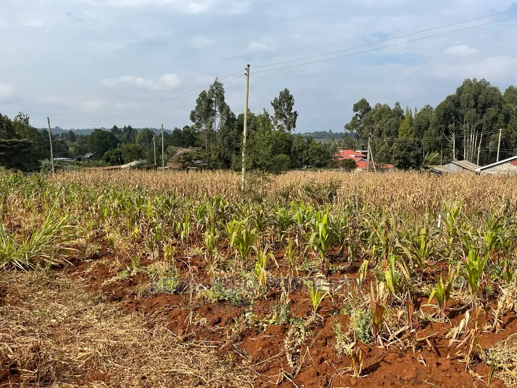 Residential Plot in Kikuyu, Kamangu Karai (Migumoini Area)