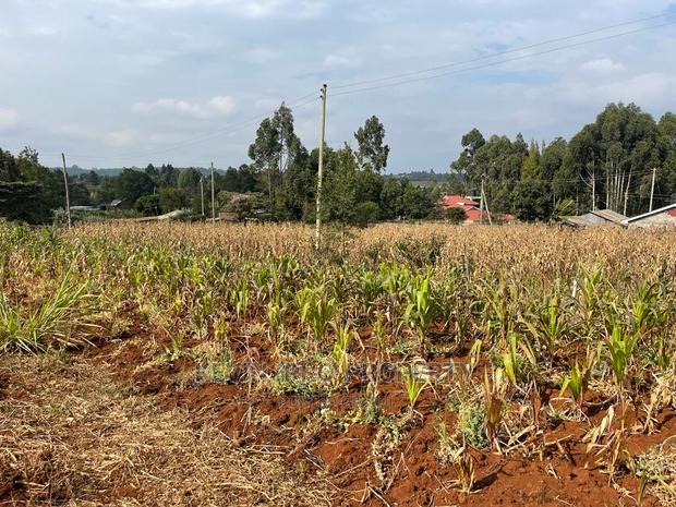 Residential Plot in Kikuyu, Kamangu Karai (Migumoini Area) - thumbnail 13